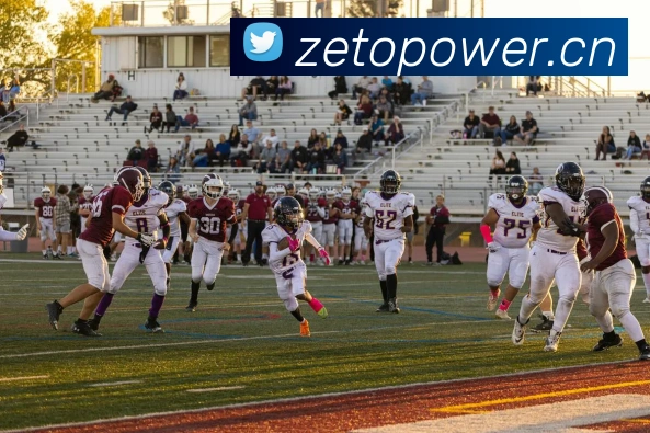 bat365最新登录平台生态图